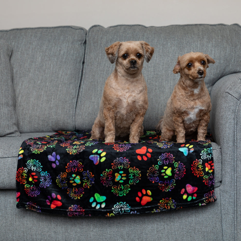 Super Cozy™ Pet Blanket | The Animal Rescue Site