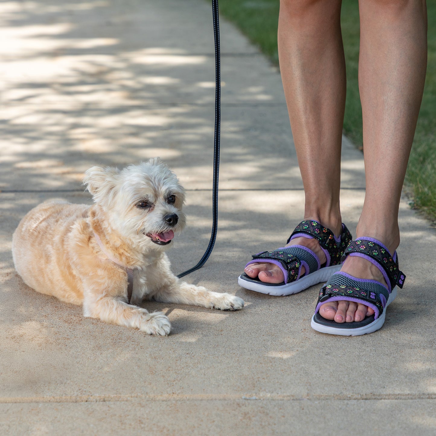 A small white dog lies on a concrete sidewalk while a person stands beside it wearing patterned black and purple slide sandals. The dog is on a black leash, and grass is visible along the right edge of the walkway.