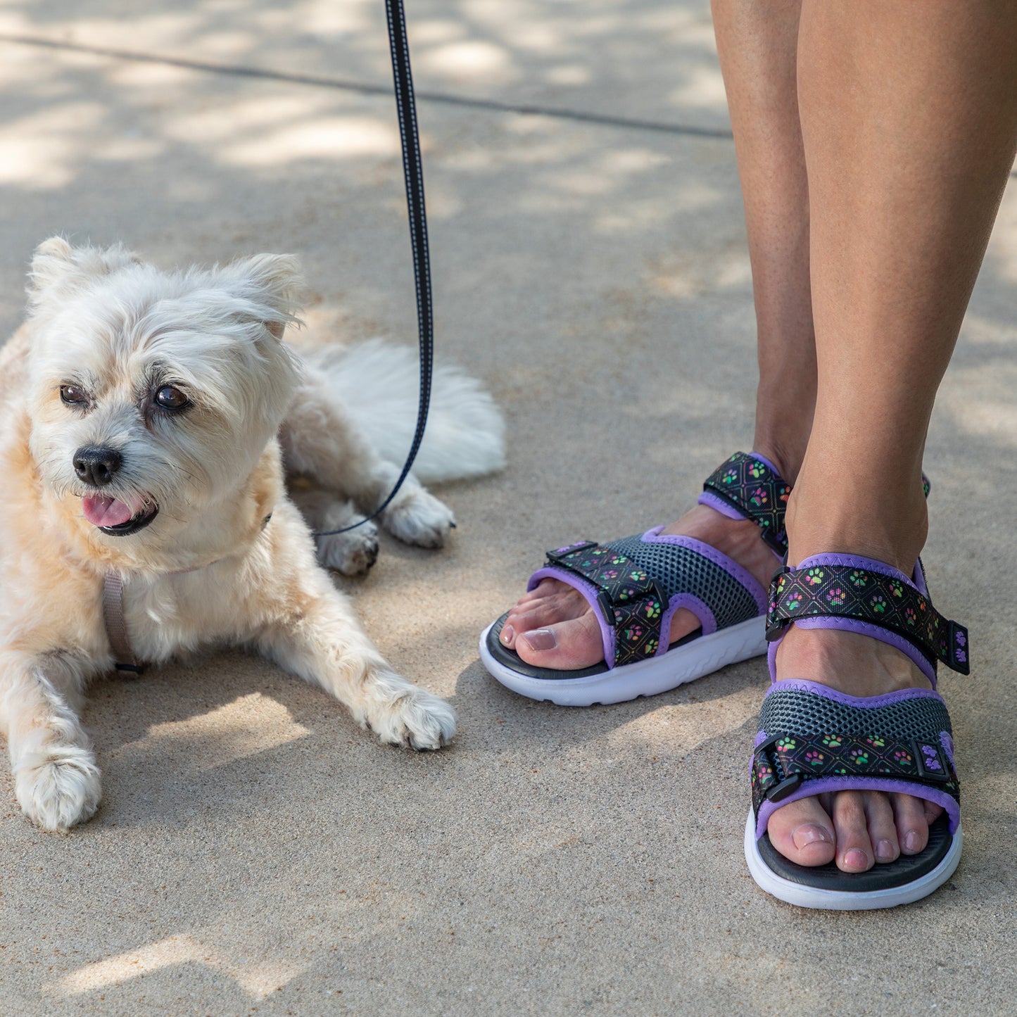 A person wearing dark gray and purple sandals stands next to a small white dog on a concrete surface.