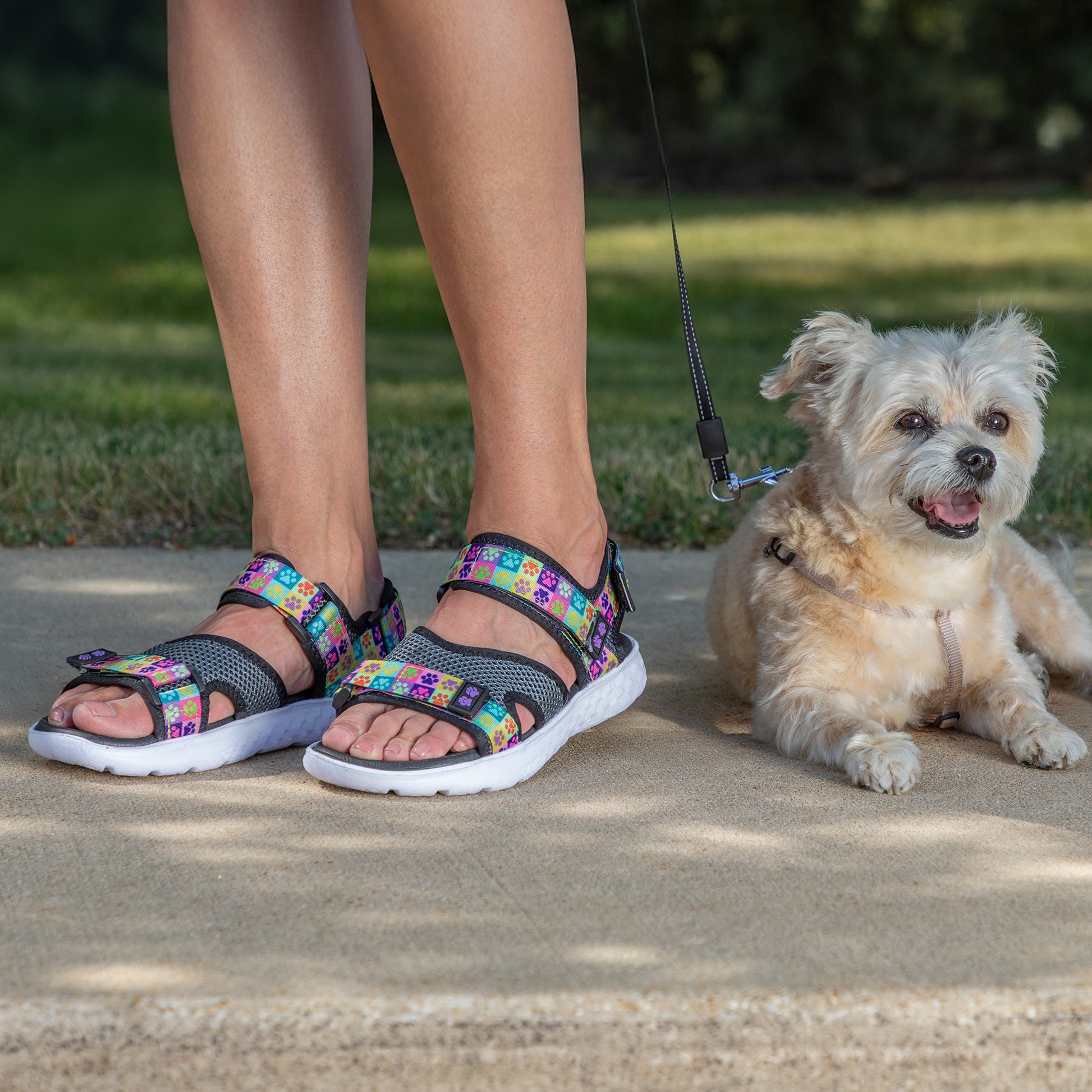 A person next to a small dog wearing colorful leash. Model wearing colorful sandals