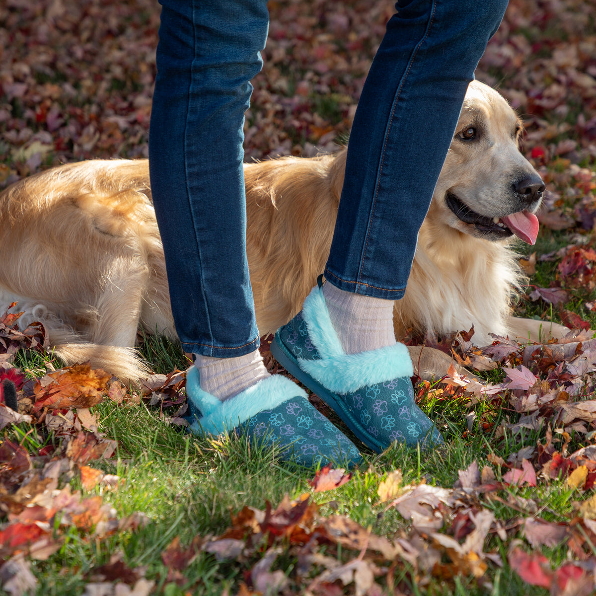 A person wearing blue patterned slippers with fluffy light blue trim stands outdoors on grass covered with fallen leaves, next to a golden retriever dog.