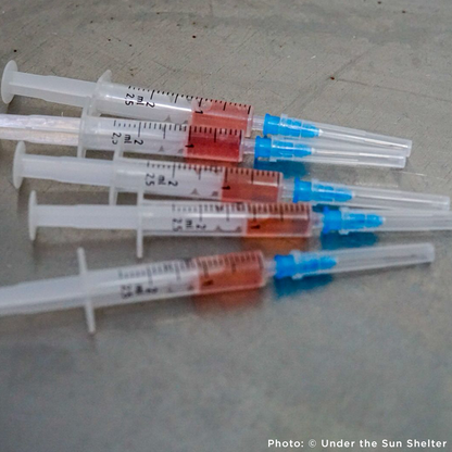 Send Medication to Protect Hundreds of Dogs from Deadly Illnesses