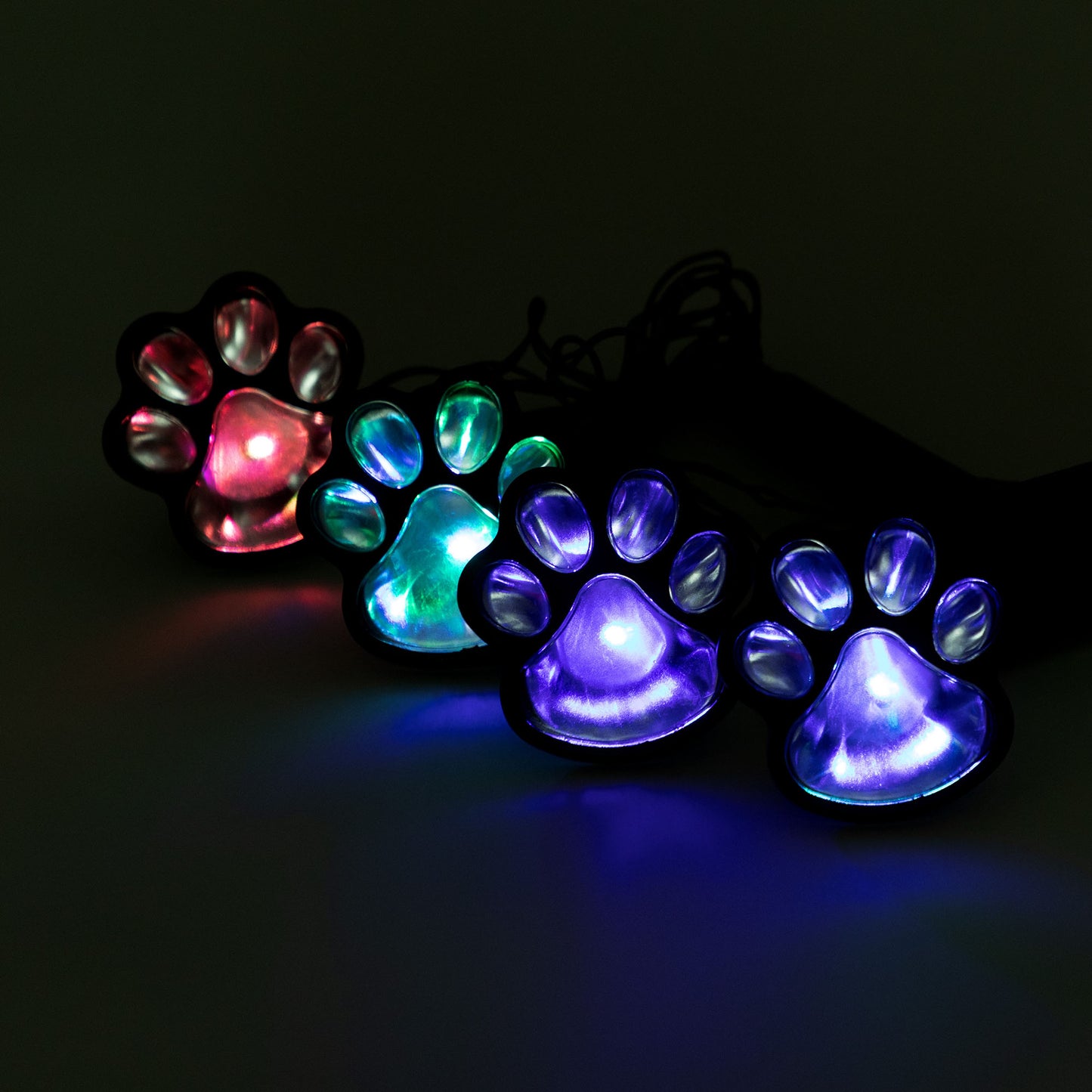 Paw Print Solar Ground Lights Set