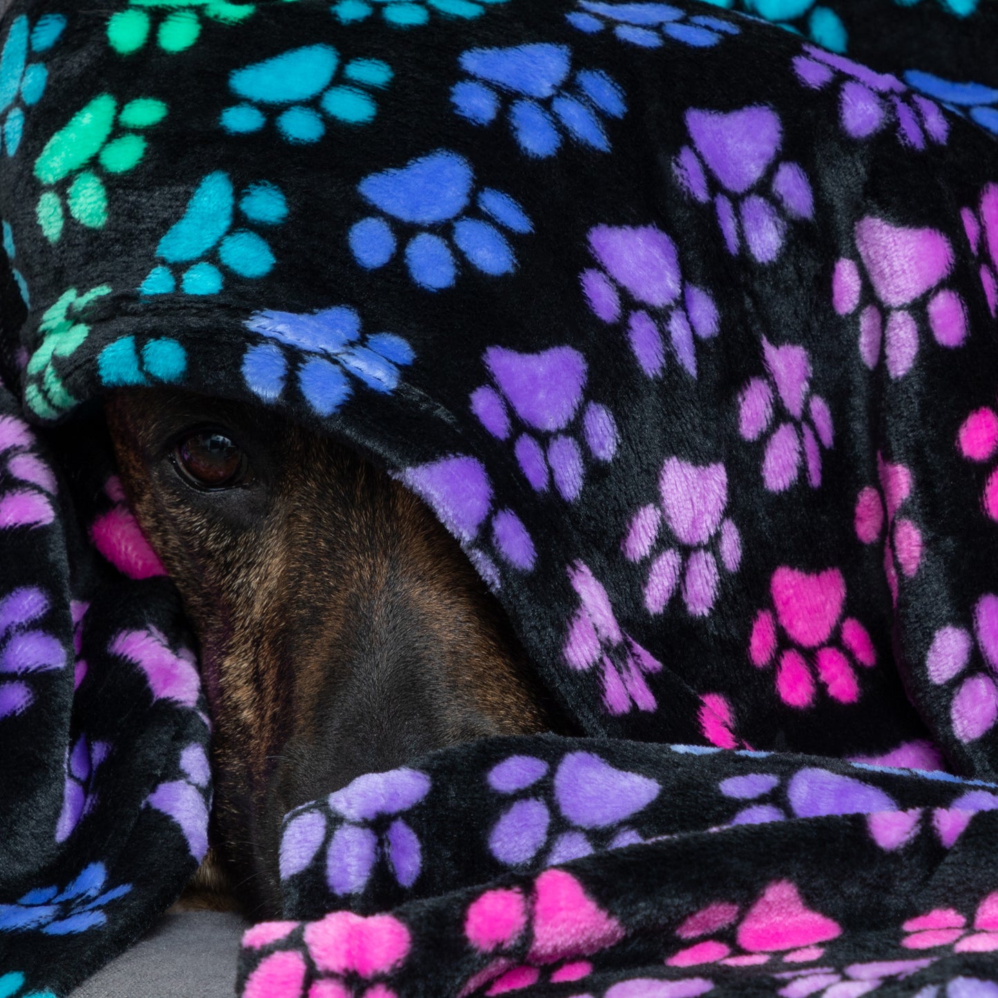 Super Cozy&trade; Pet Blanket