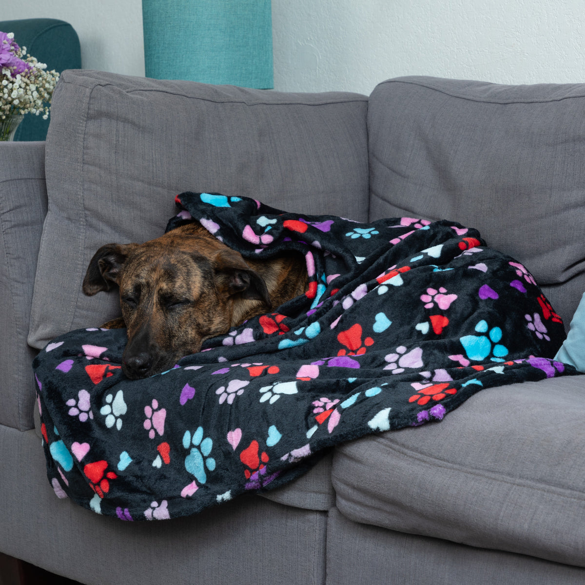 Super Cozy™ Pet Blanket | The Animal Rescue Site