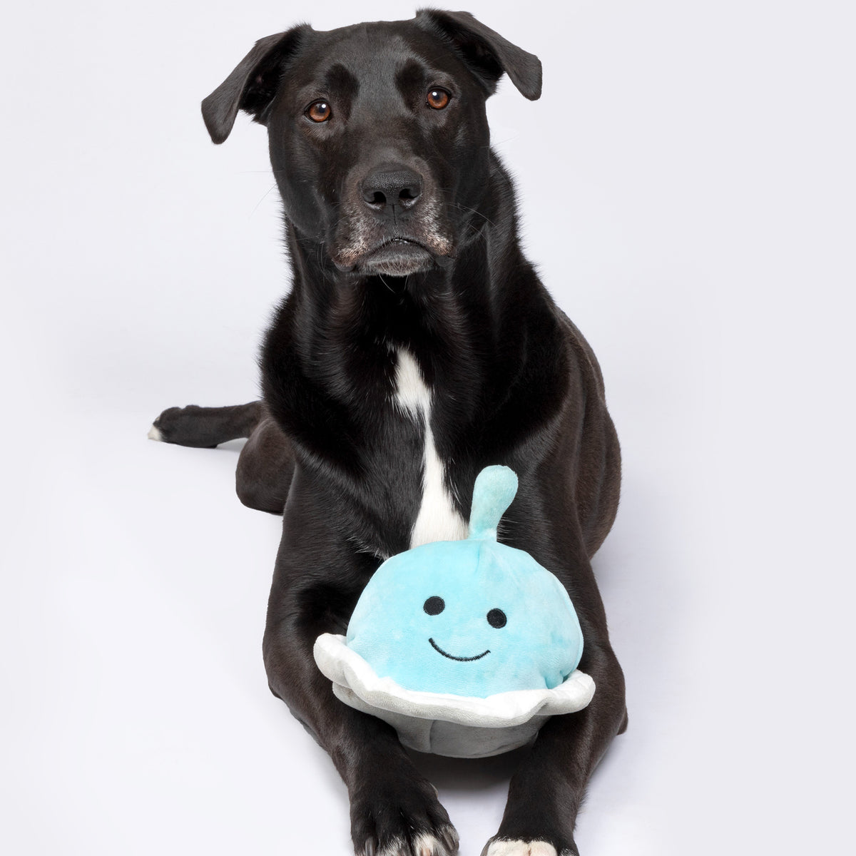 Patchwork Pet Spaceship with Alien 5-inch | The Animal Rescue Site