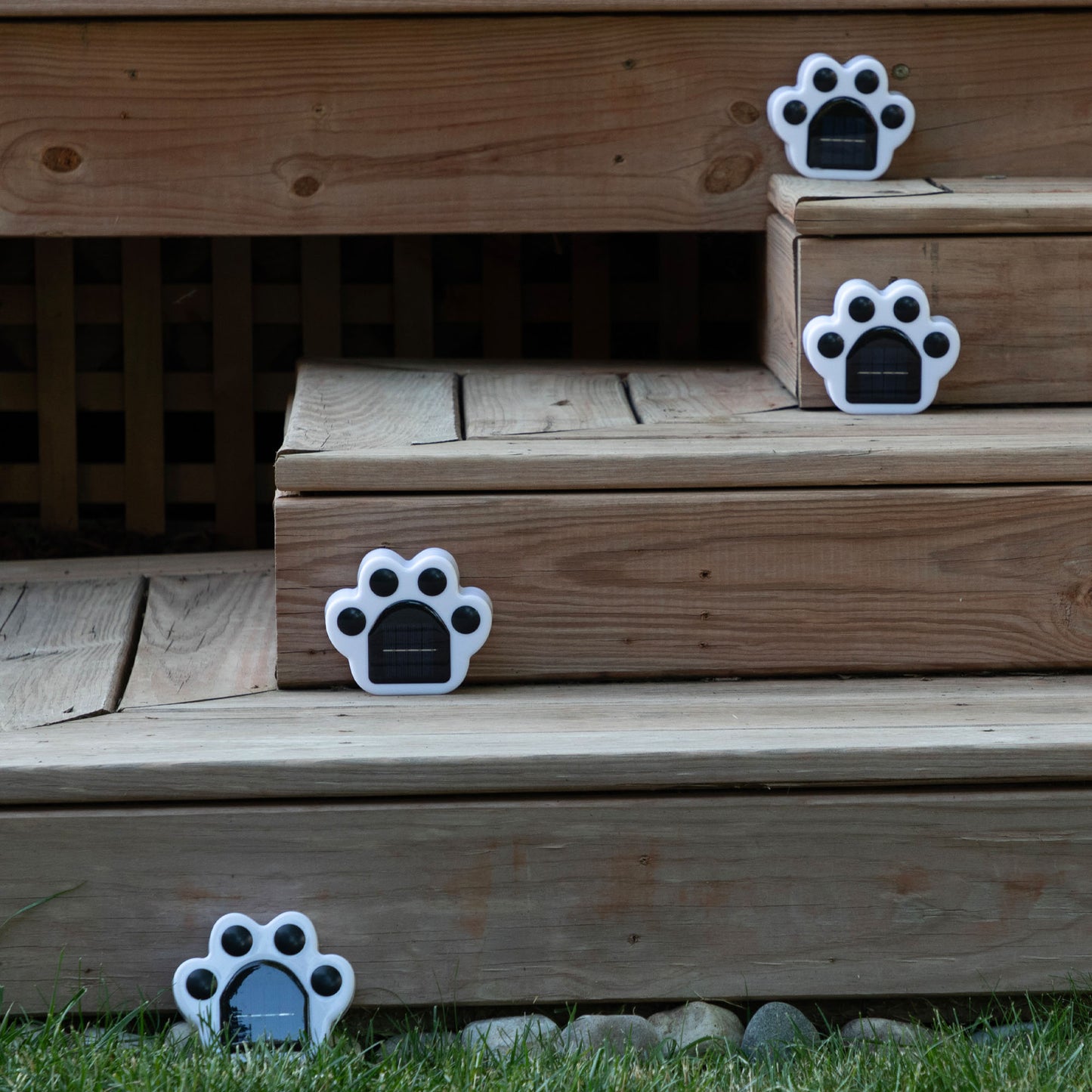 Paw Print Pathway Ground Solar Light - Set of 4