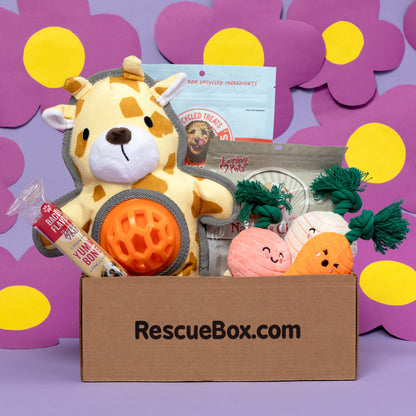 RescueBox&reg; - Spoil Your Pet, Help Animals In Need