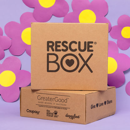 RescueBox&reg; - Spoil Your Pet, Help Animals In Need