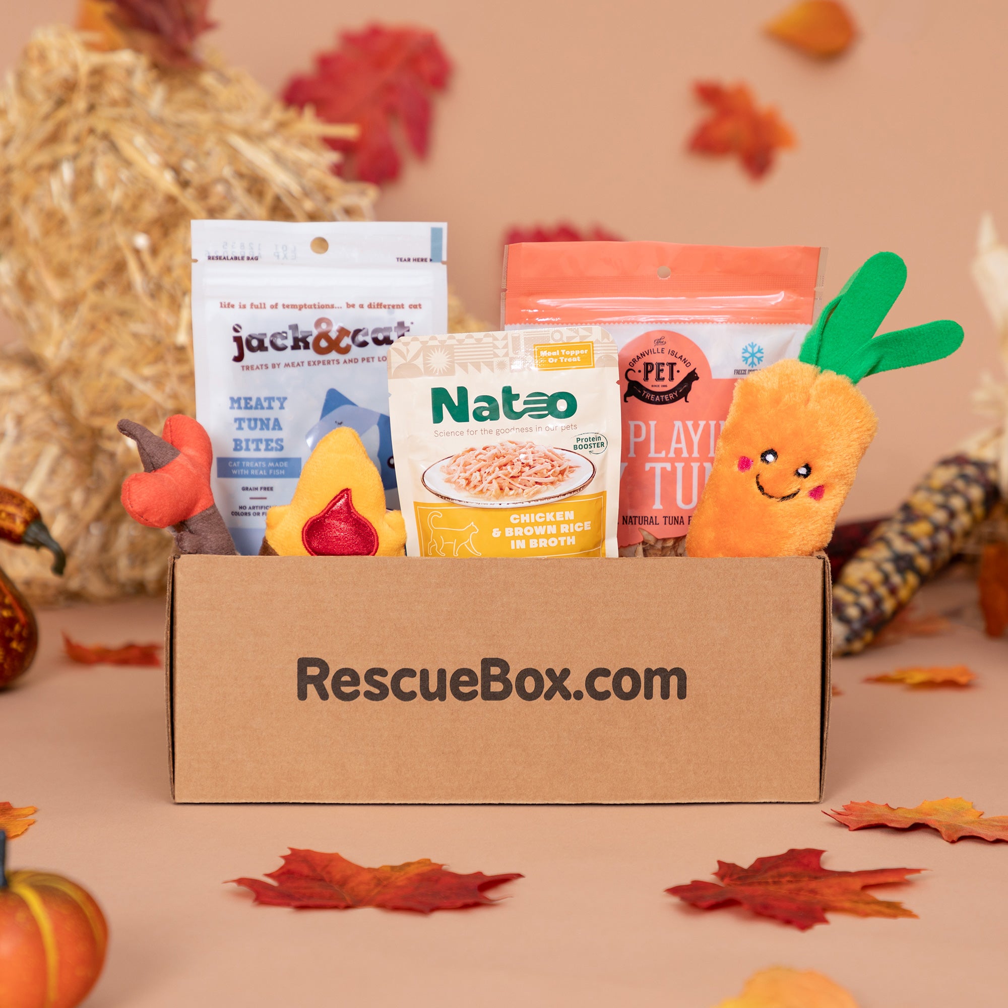 RescueBox Spoil Your Pet Help Animals In Need