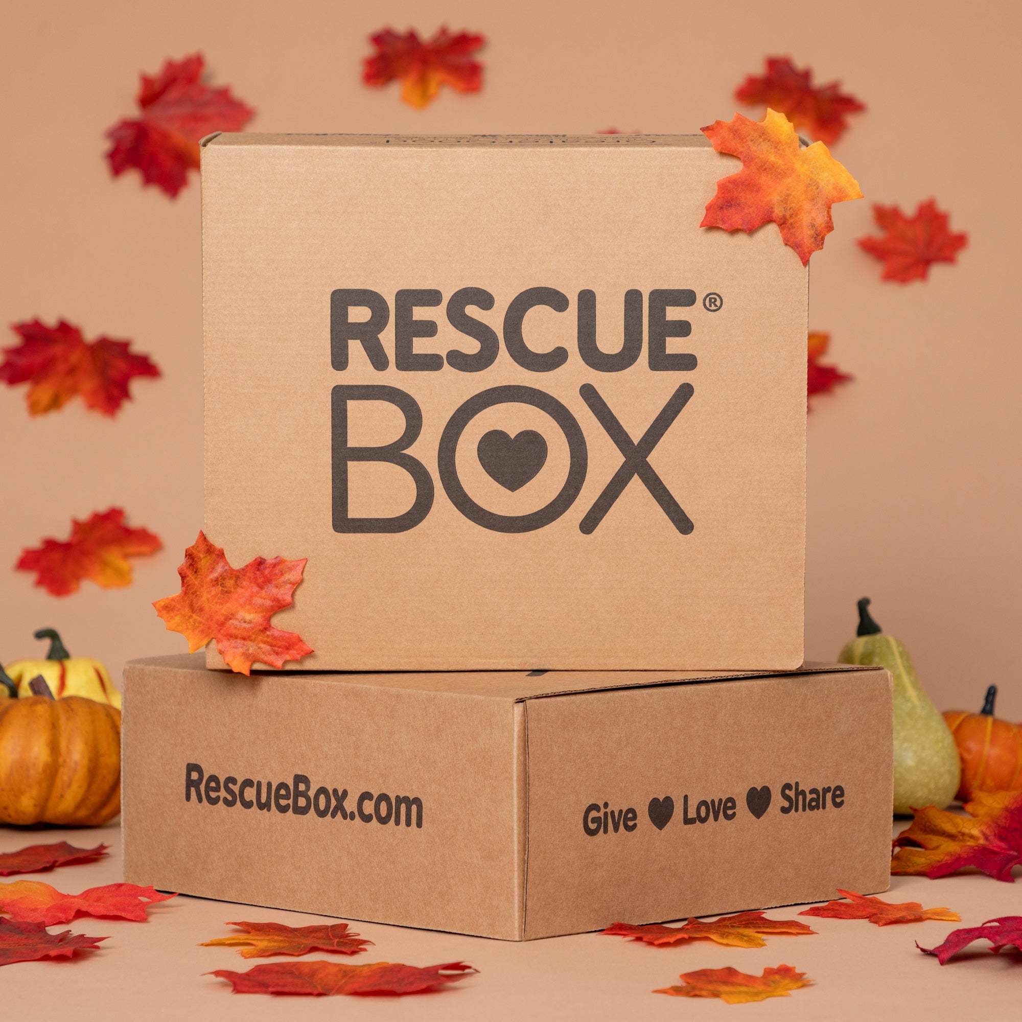 RescueBox Spoil Your Pet Help Animals In Need