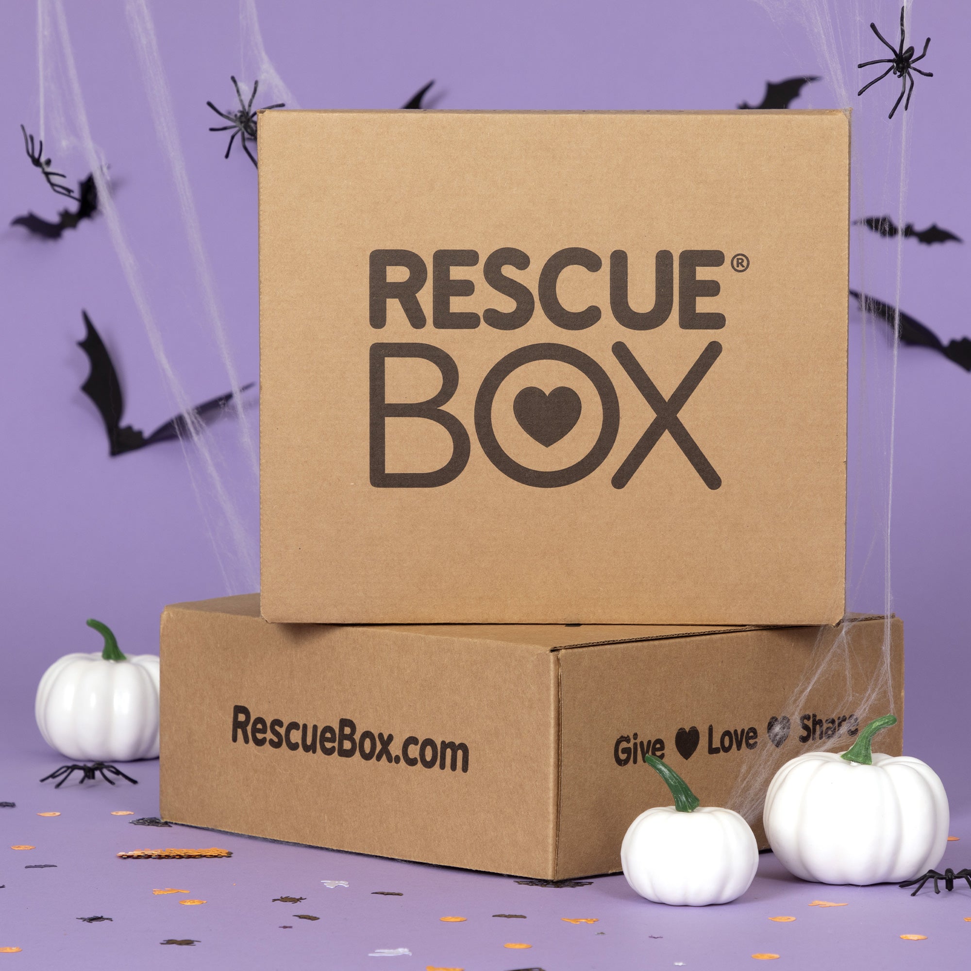Rescue box subscription discount