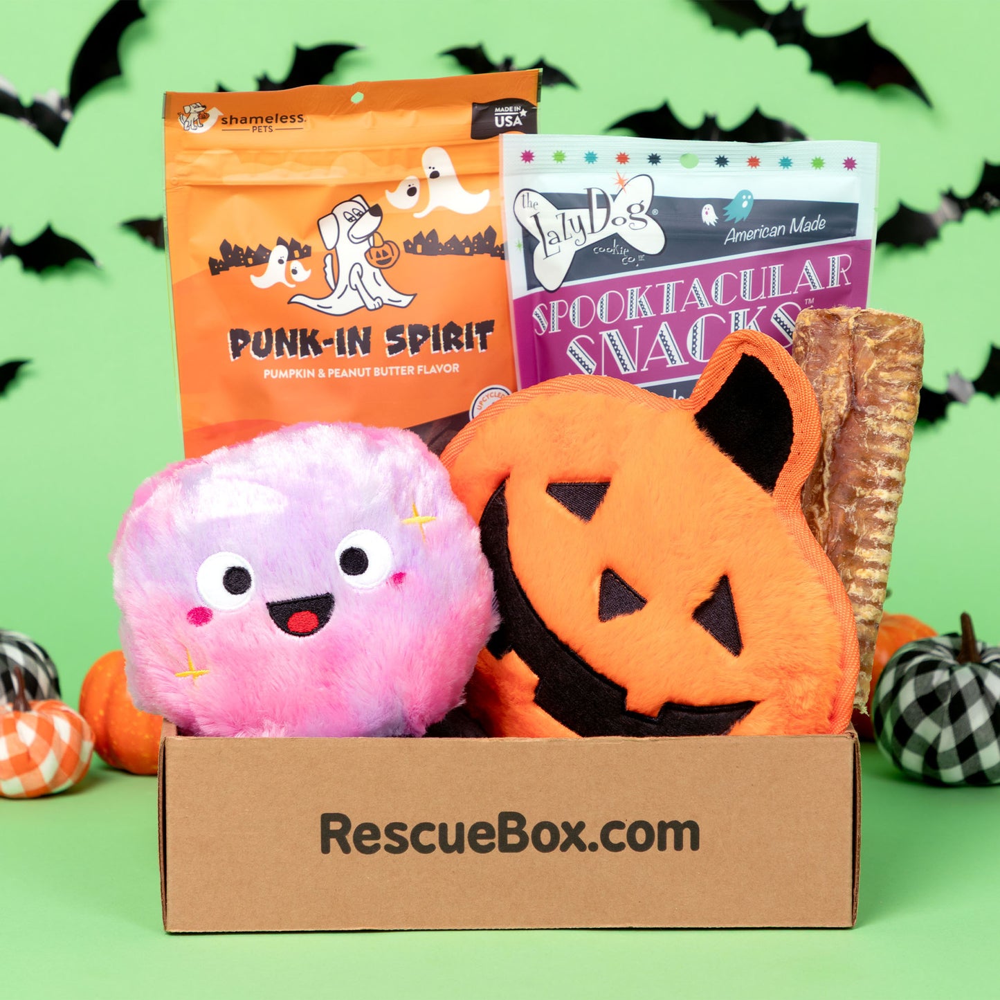 RescueBox&reg; - Spoil Your Pet, Help Animals In Need