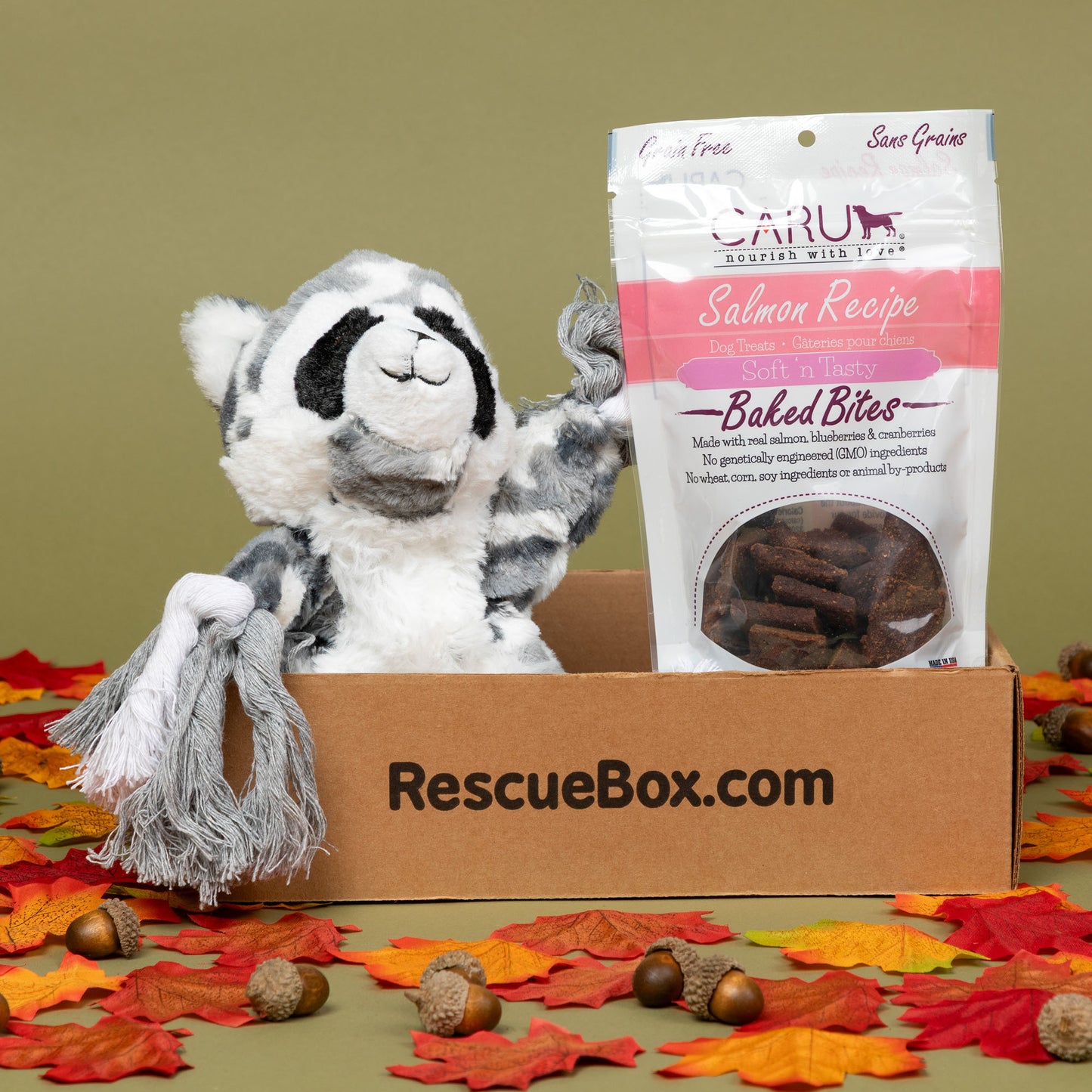 RescueBox&reg; - Spoil Your Pet, Help Animals In Need