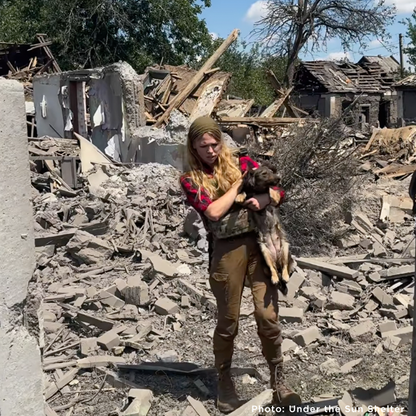 Crisis in Ukraine: Help Evacuate Pets From the Frontlines