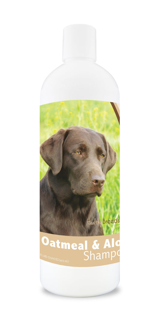 Oatmeal and aloe dog shampoo bottle with a chocolate lab dog image on the label.