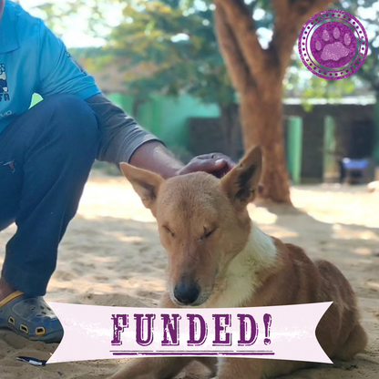 Funded: Support Faith’s Recovery After a Brutal Attack