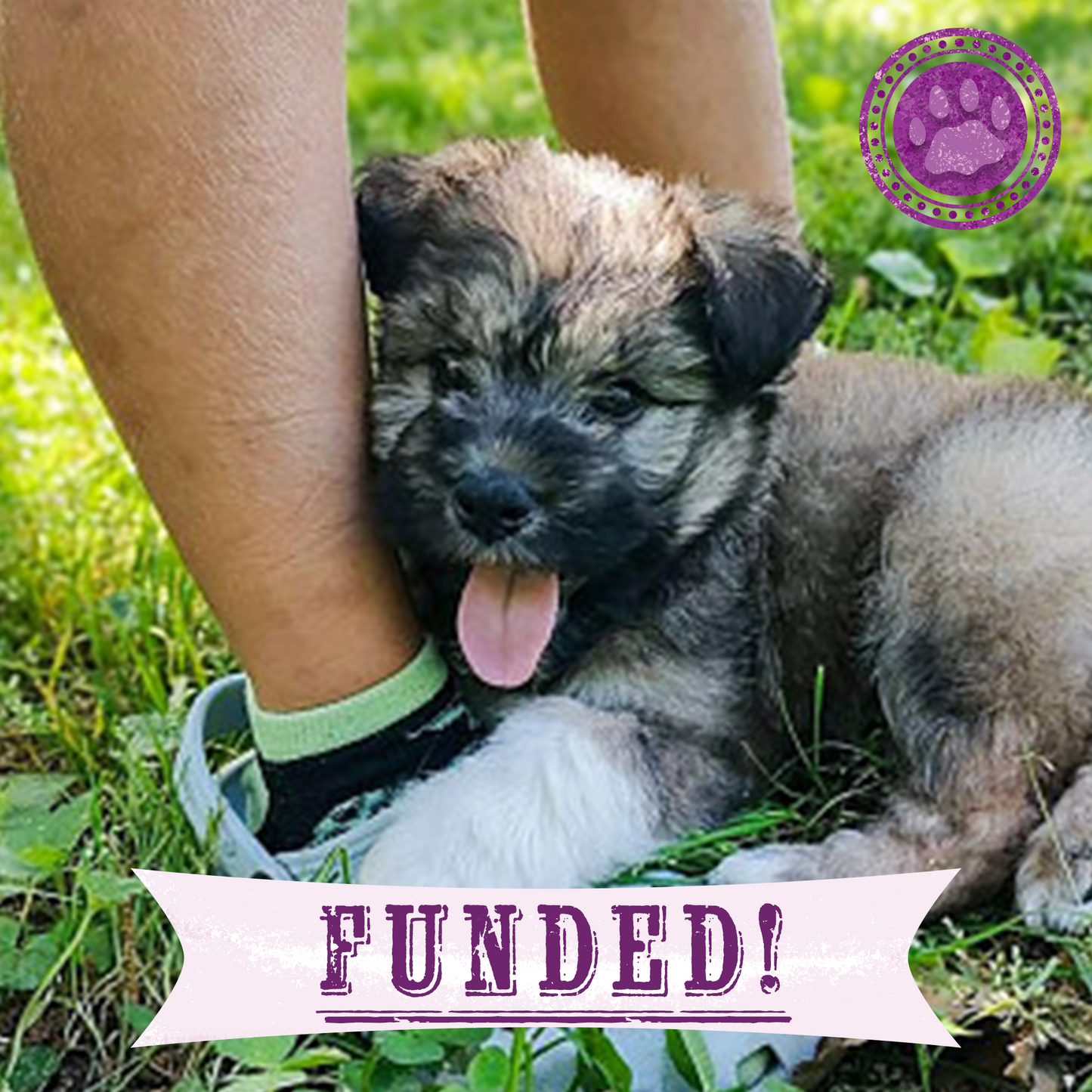 Funded: Help Little Lainey Run & Play Without Pain