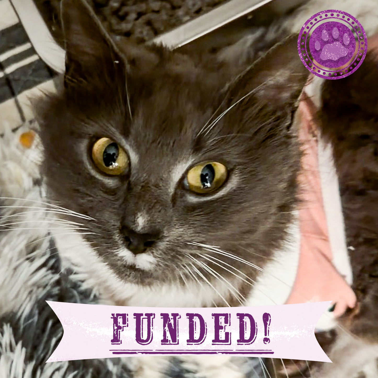 Funded: Pauline Needs Your Help After a Difficult Delivery