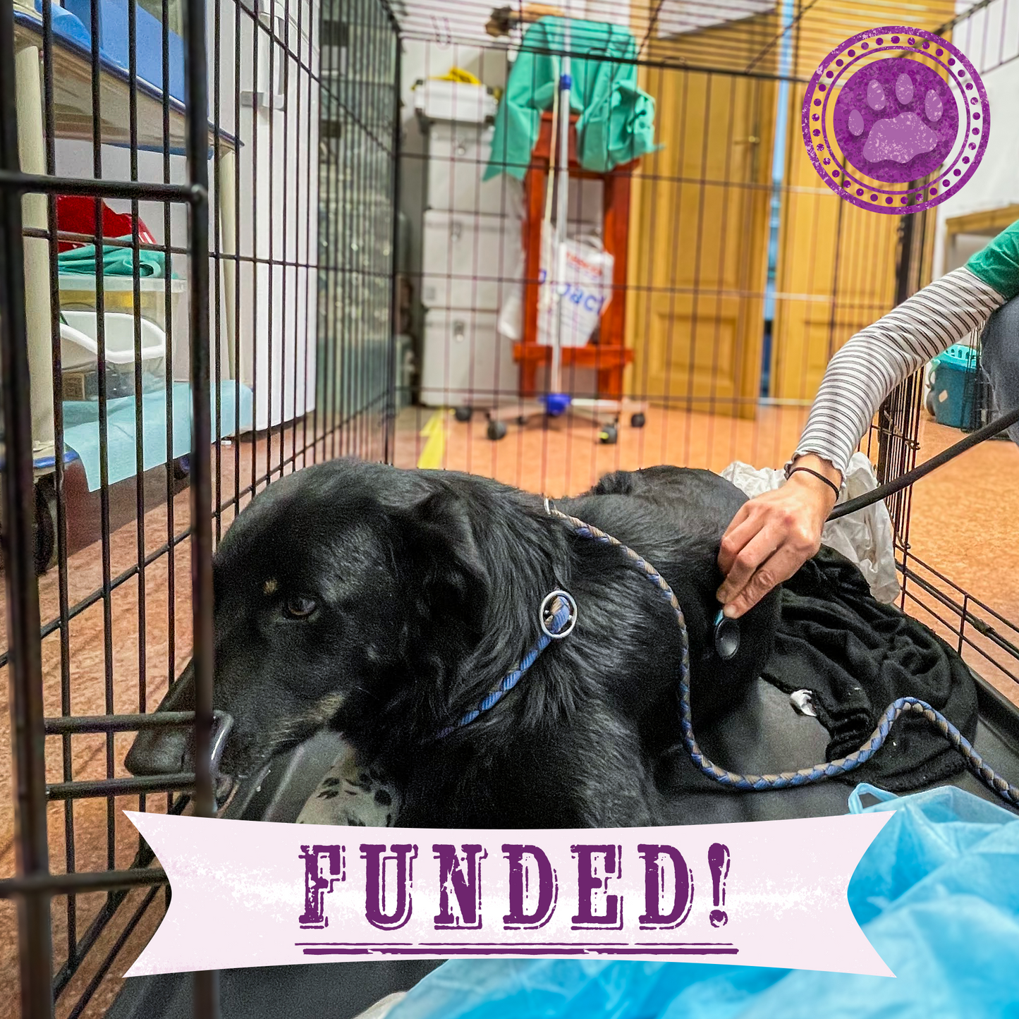 Funded: Help IIona and Tyson Suffering From Life-Threatening Injuries Get Emergency Care