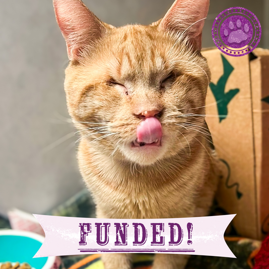 Funded: Help Arnold Navigate a New Life After So Much Loss