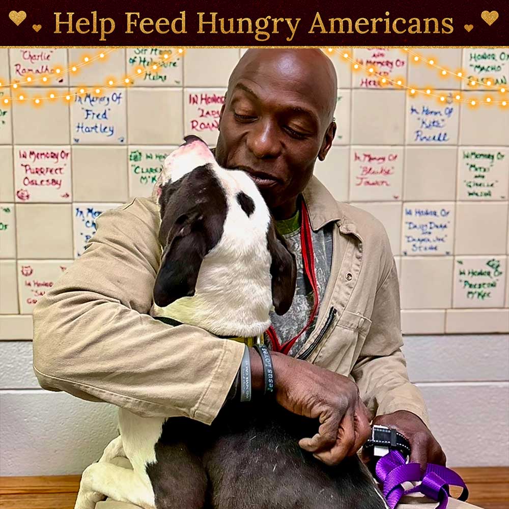 Help Fight Holiday Hunger: Keep Families and Their Pets Fed