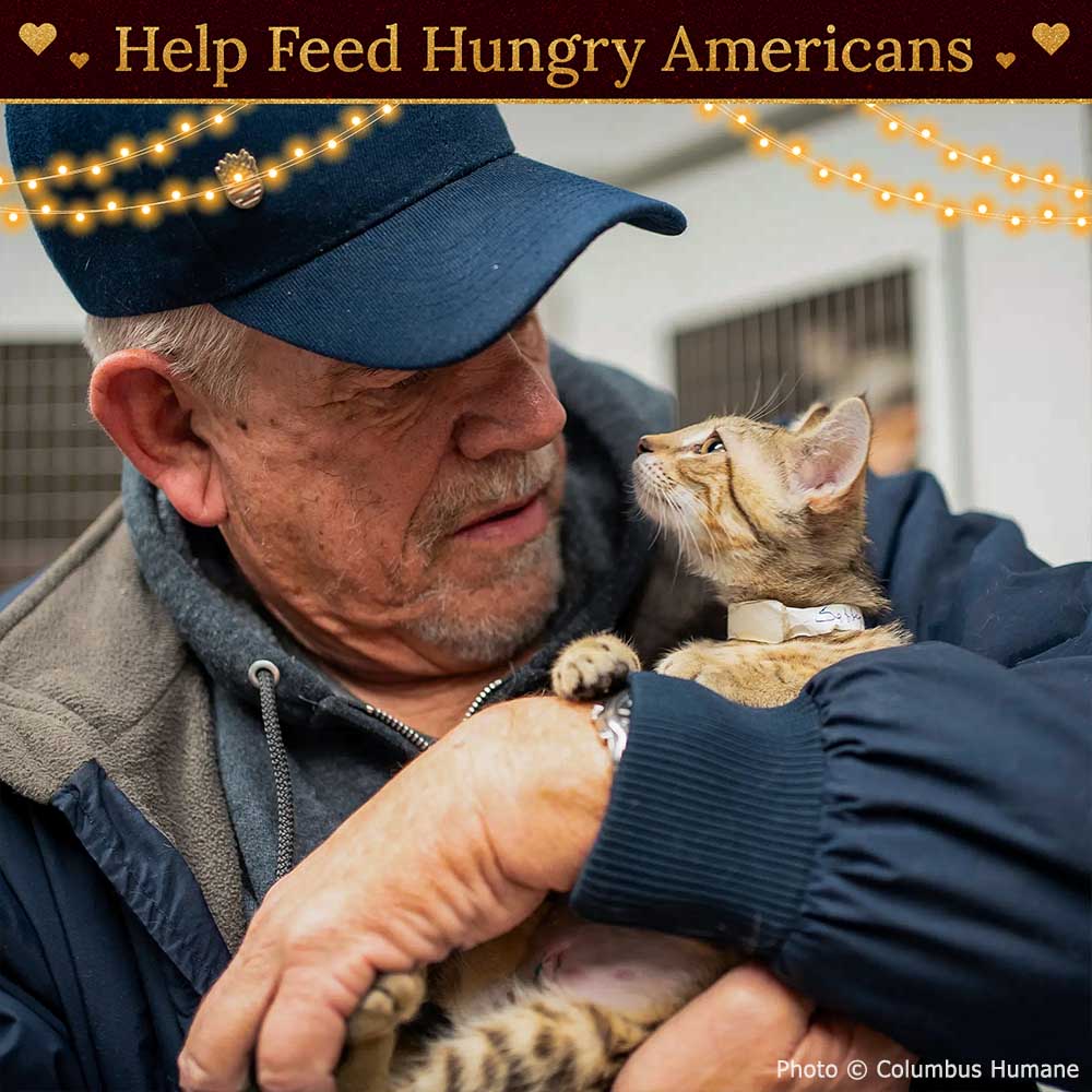 Americans are Hungry for Food is Medicine, image size:1000x1000