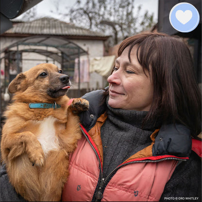 Keep Ukrainian Shelter Pets Warm & Safe