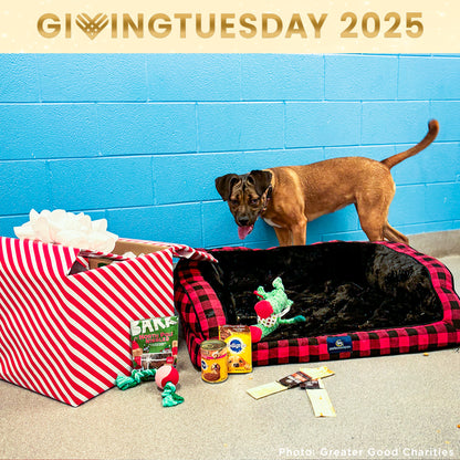 GivingTuesday: Care Package Drive for Shelter Pets