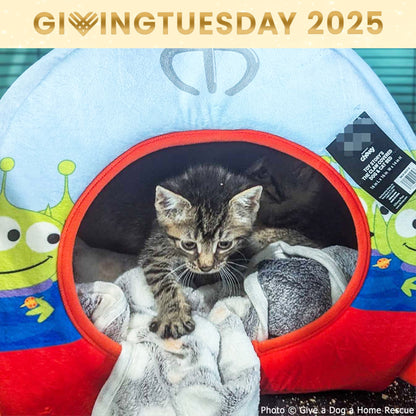 GivingTuesday: Care Package Drive for Shelter Pets