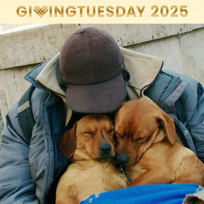 GivingTuesday: Send Winter Relief Kits to Veterans & Pets Experiencing Homelessness