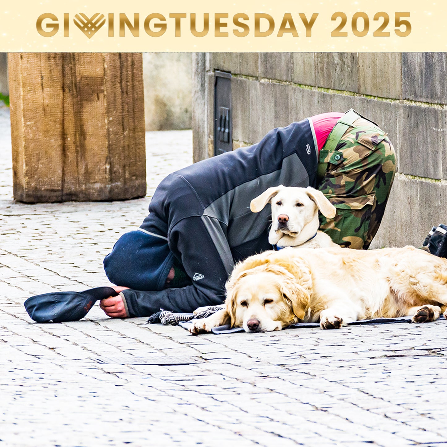 GivingTuesday: Send Winter Relief Kits to Veterans & Pets Experiencing Homelessness