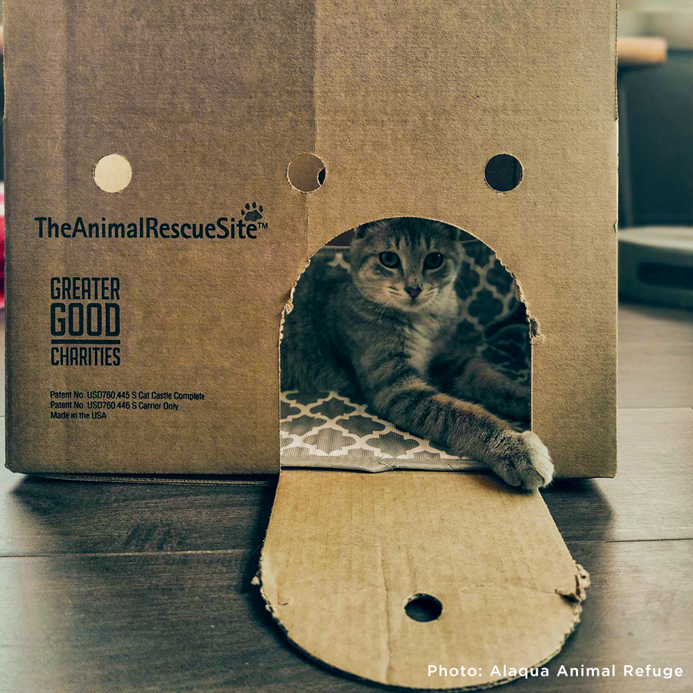 Support Feline Domination - One Castle at a Time