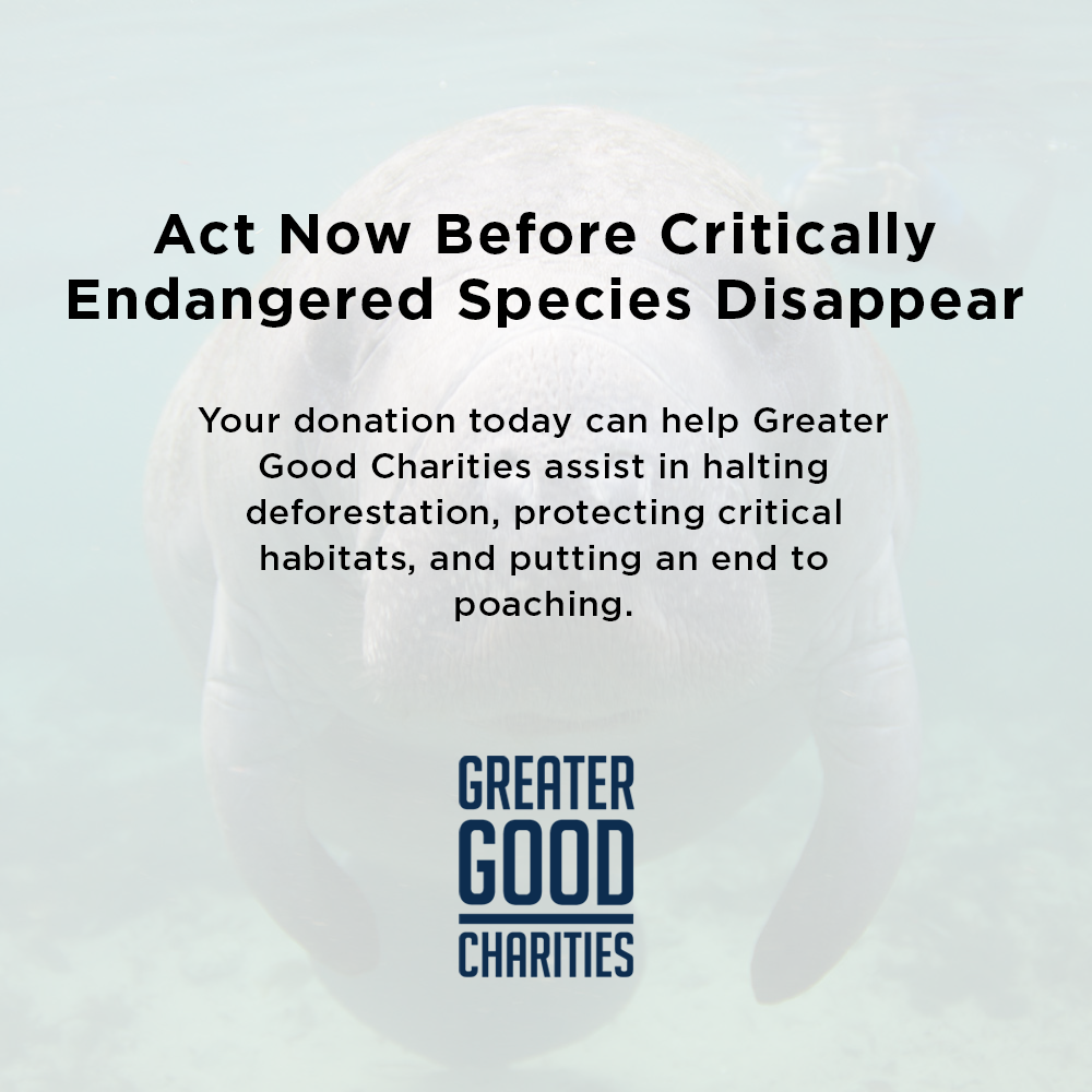 Act Now Before Critically Endangered Species Disappear