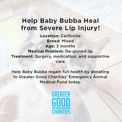 Help Baby Bubba Heal from Severe Lip Injury