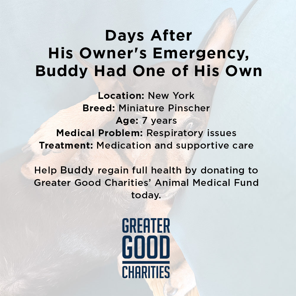 Every Breath Is a Fight - This Dog Needs Help Now