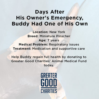 Every Breath Is a Fight - This Dog Needs Help Now