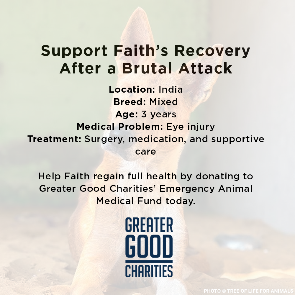 Funded: Support Faith’s Recovery After a Brutal Attack