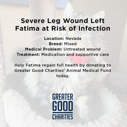 Fatima's Severe Leg Wound Needs Urgent Care
