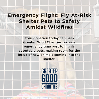 Emergency Flight: Fly At-Risk Shelter Pets to Safety Amidst Wildfires