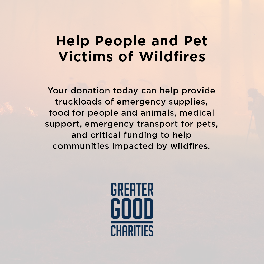 Disaster in the South: Help People and Pet Victims of Wildfires