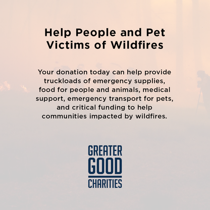 Disaster in the South: Help People and Pet Victims of Wildfires