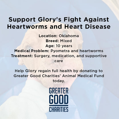 Save Glory Before Her Heart Gives Out to Heartworms and Heart Disease