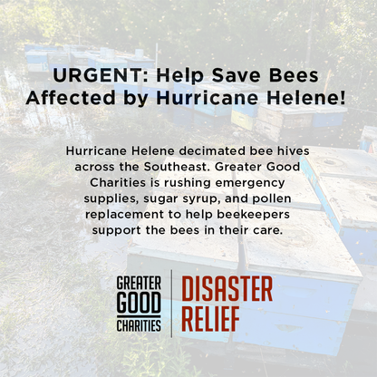 URGENT: Help Save Bees Affected by Hurricane Helene