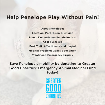 Funded - Help Penelope Play Without Pain