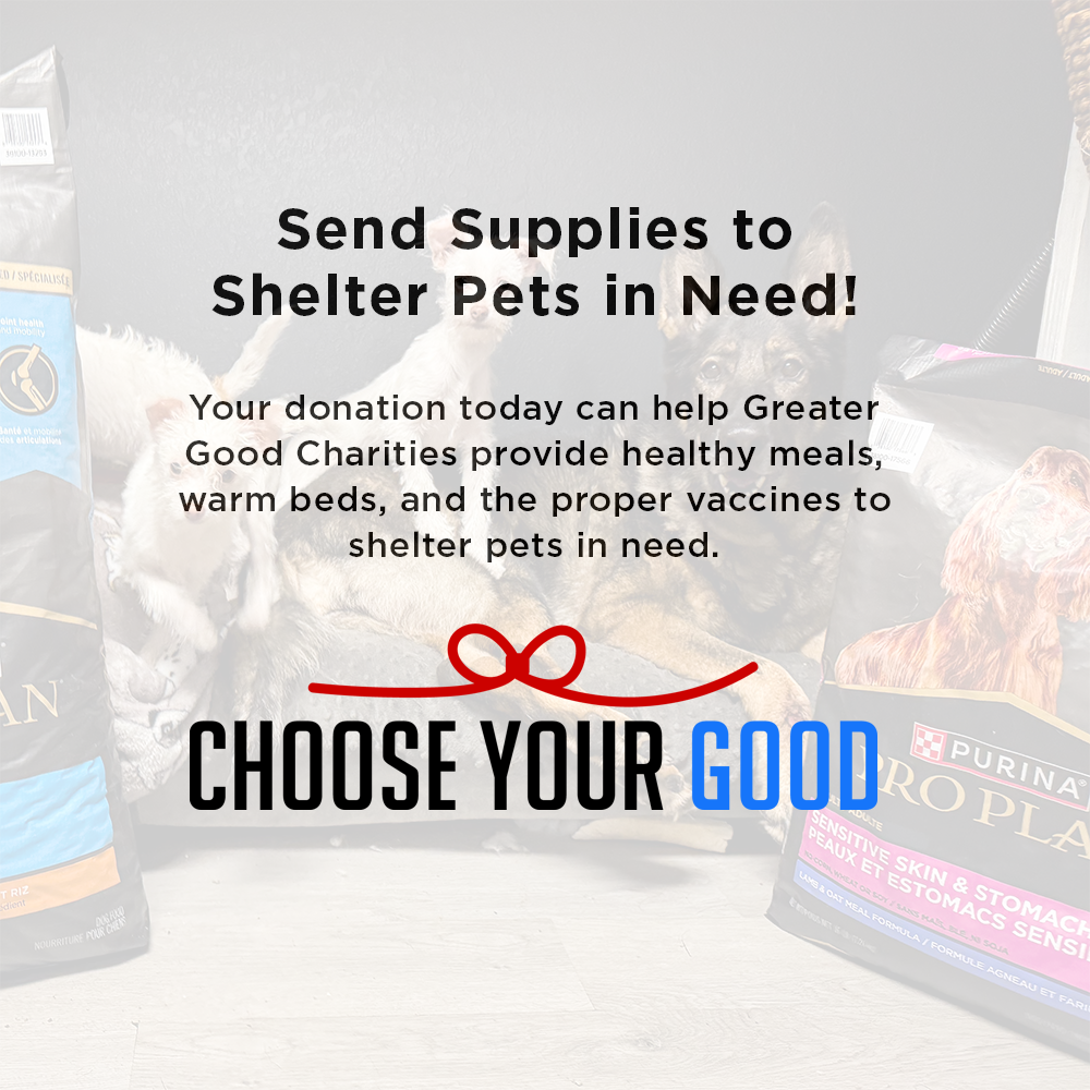 Send a Care Package to a Shelter Pet this Holiday Season