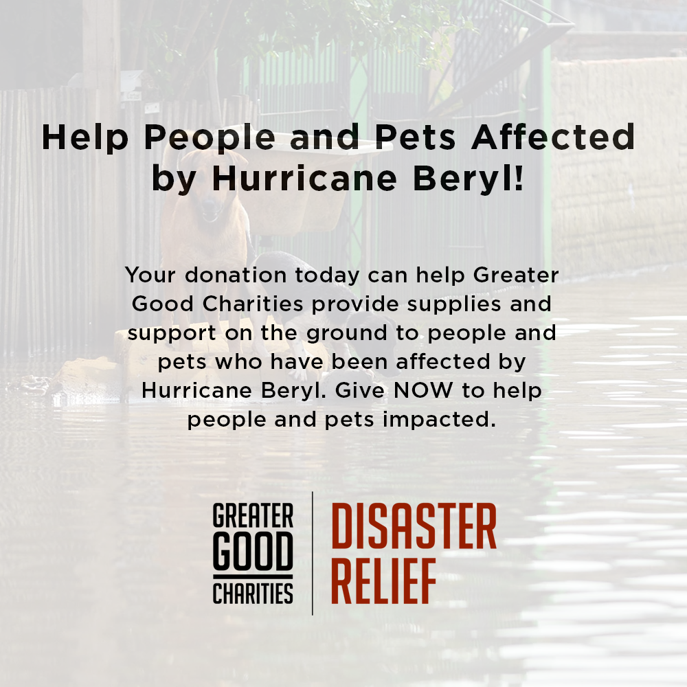 Help People and Pets Affected by Hurricane Beryl