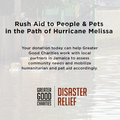 Rush Aid to People & Pets Devastated By Hurricane Melissa