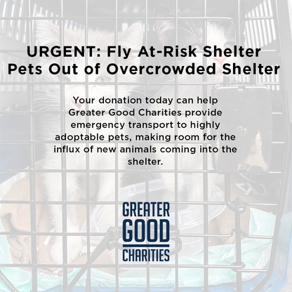 Emergency Flight: Fly At-Risk Shelter Pets Out of Overcrowded Shelters