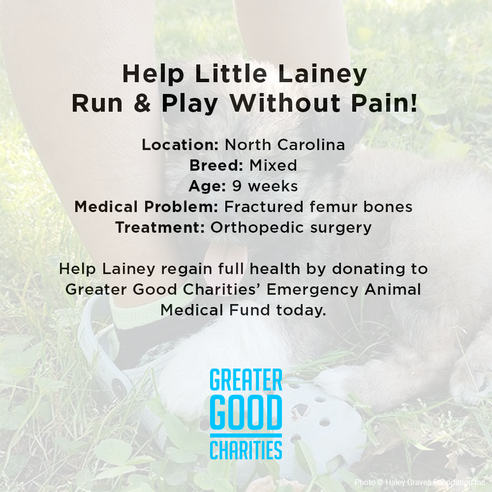 Funded: Help Little Lainey Run & Play Without Pain